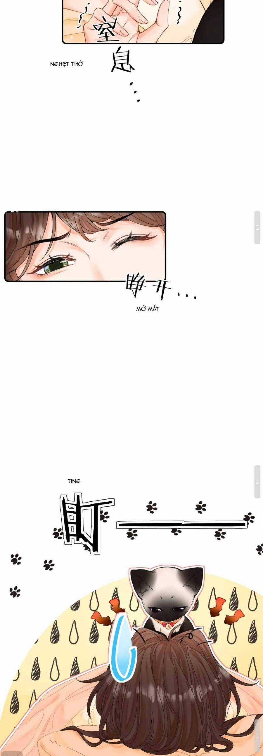 Thỉnh Đa Loan Chiếu Chapter 8 trang 20