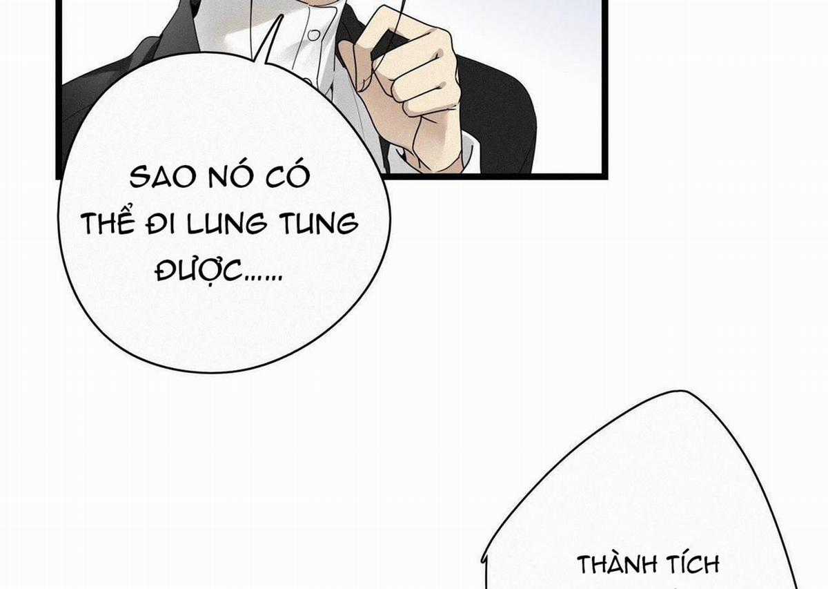 Thỉnh Quân Nhập Quẻ Chapter 19 trang 45