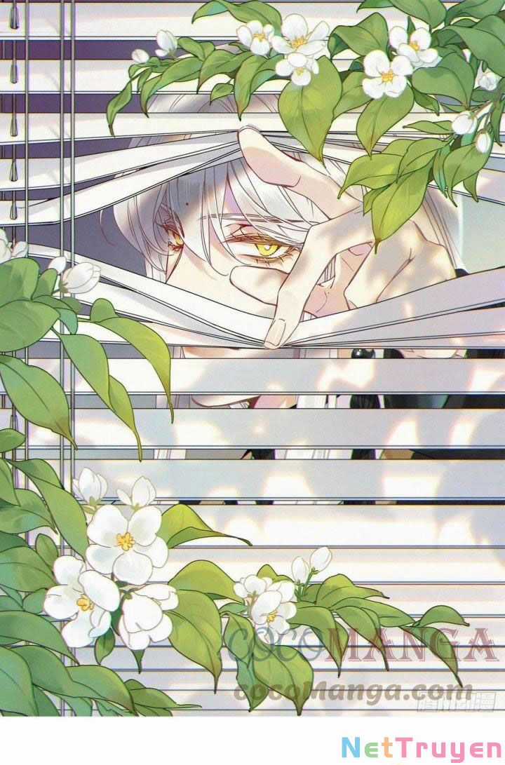 Thỉnh Quân Nhập Quẻ Chapter 29 trang 2