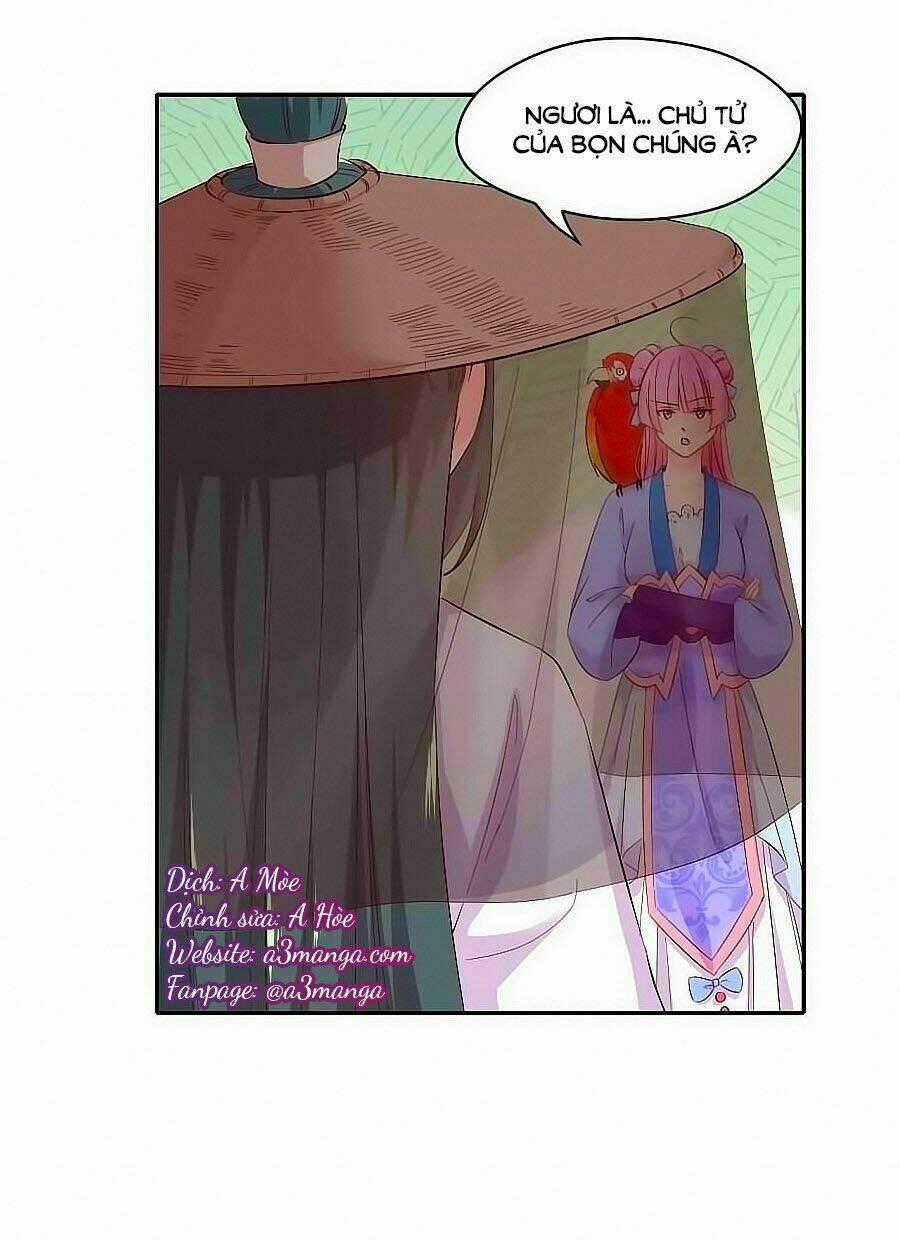 Thịnh Thế Đế Vương Phi Chapter 65 trang 0