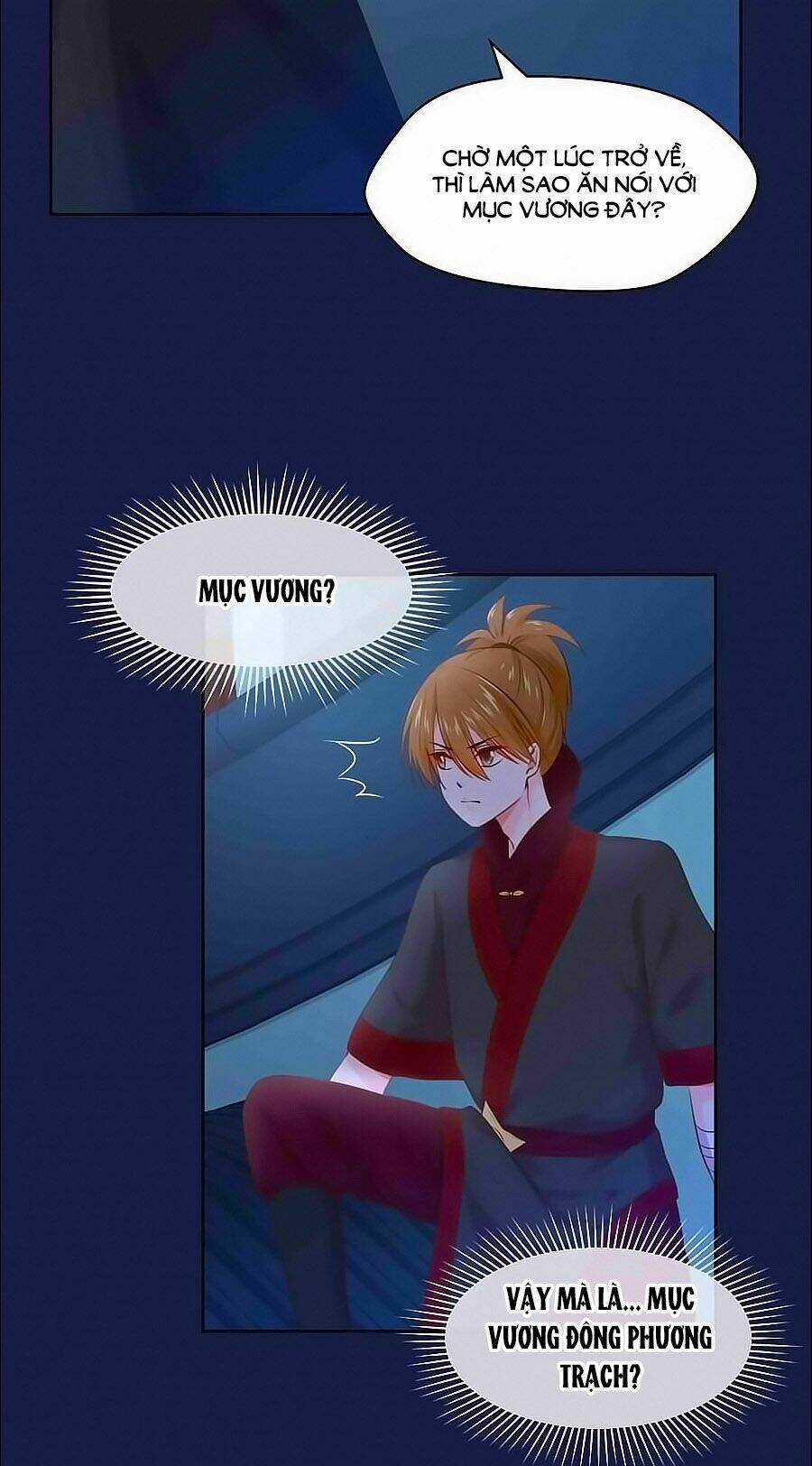 Thịnh Thế Đế Vương Phi Chapter 94 trang 12