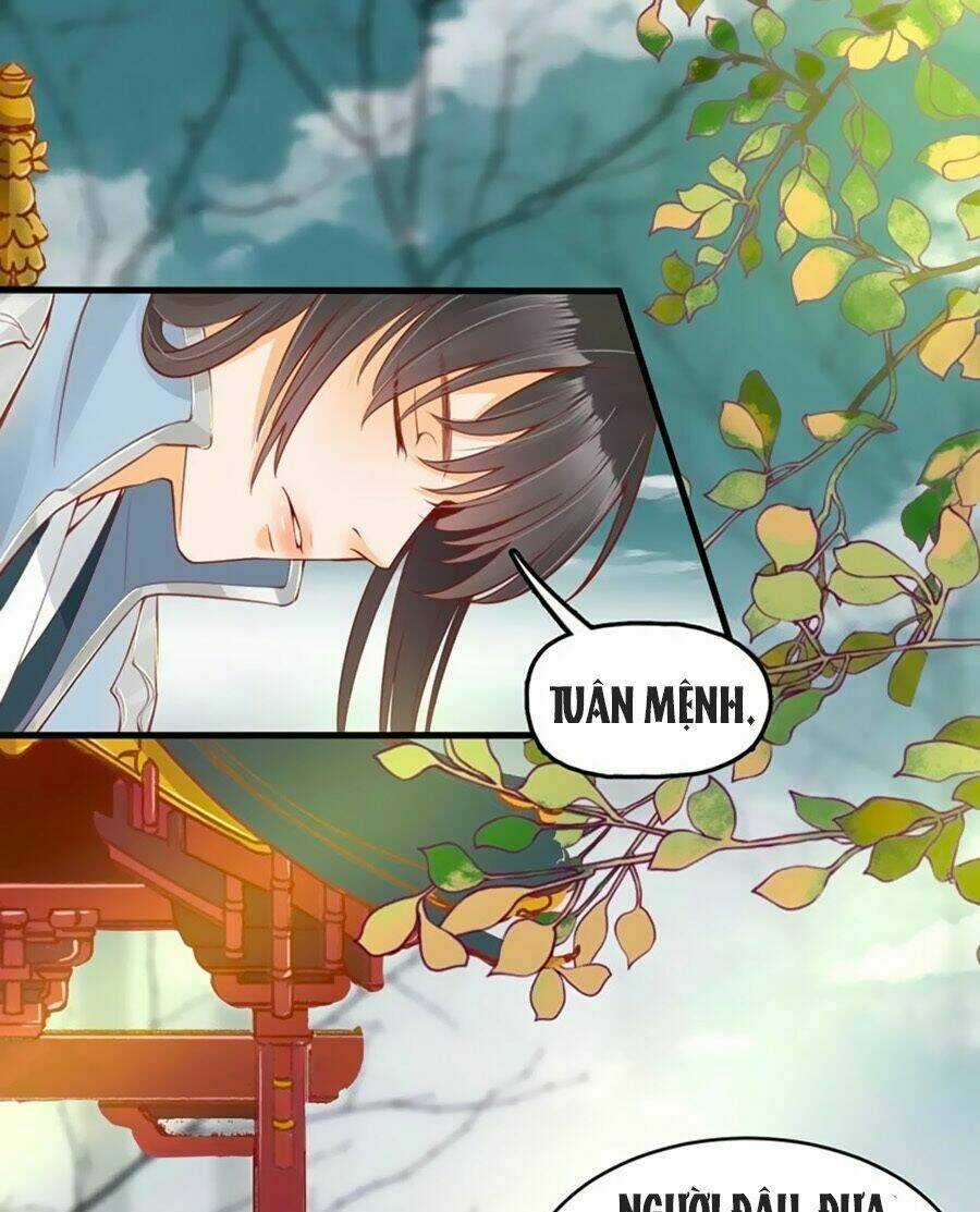 Thịnh Thế Lê Hoa Điện Chapter 11 trang 14