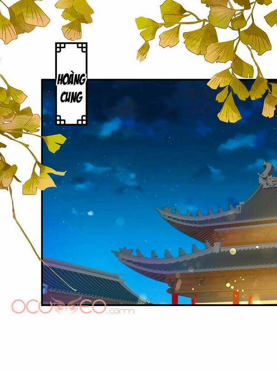 Thịnh Thế Lê Hoa Điện Chapter 36 trang 13