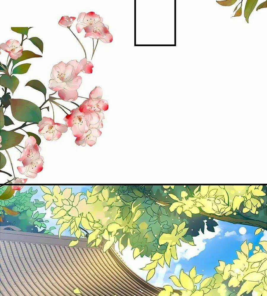 Thịnh Thế Lê Hoa Điện Chapter 62 trang 55