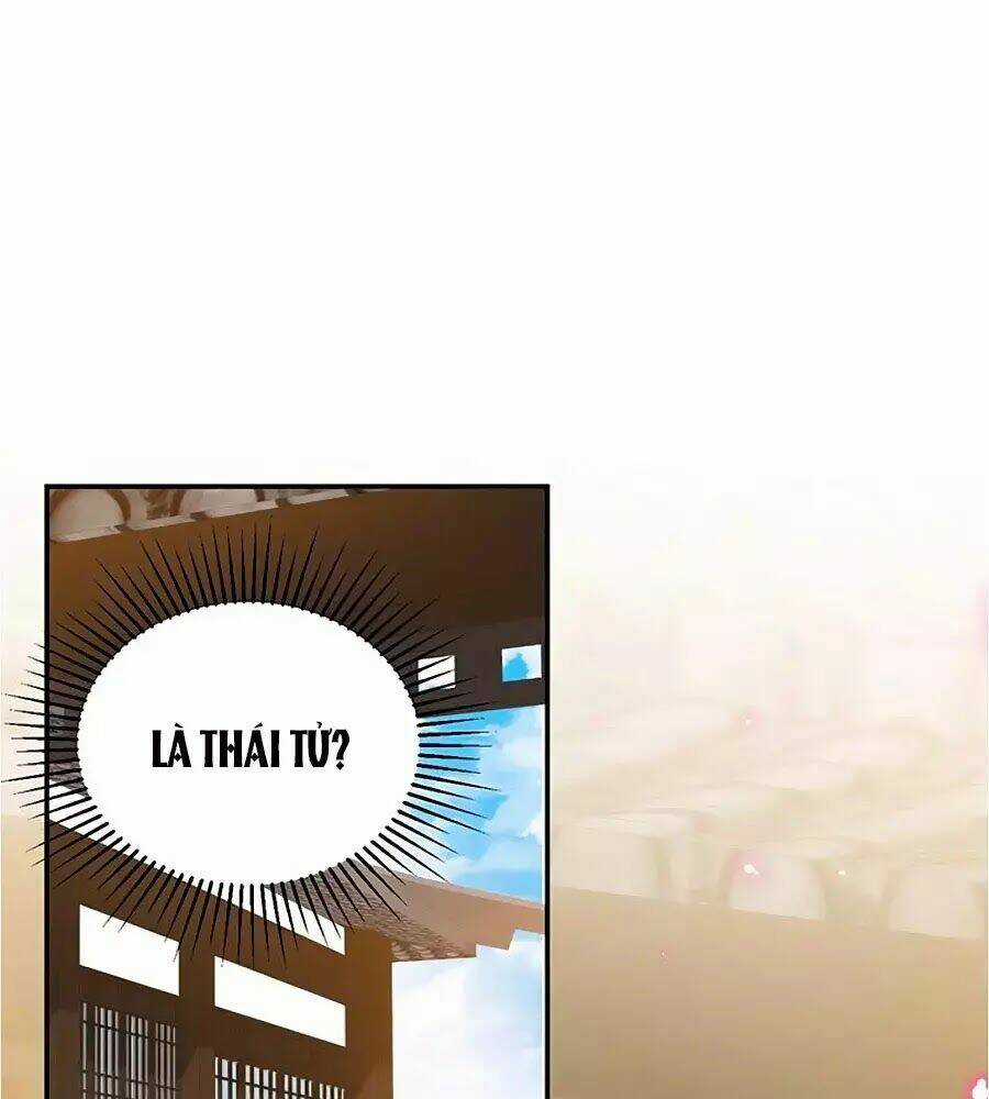 Thịnh Thế Lê Hoa Điện Chapter 65 trang 68