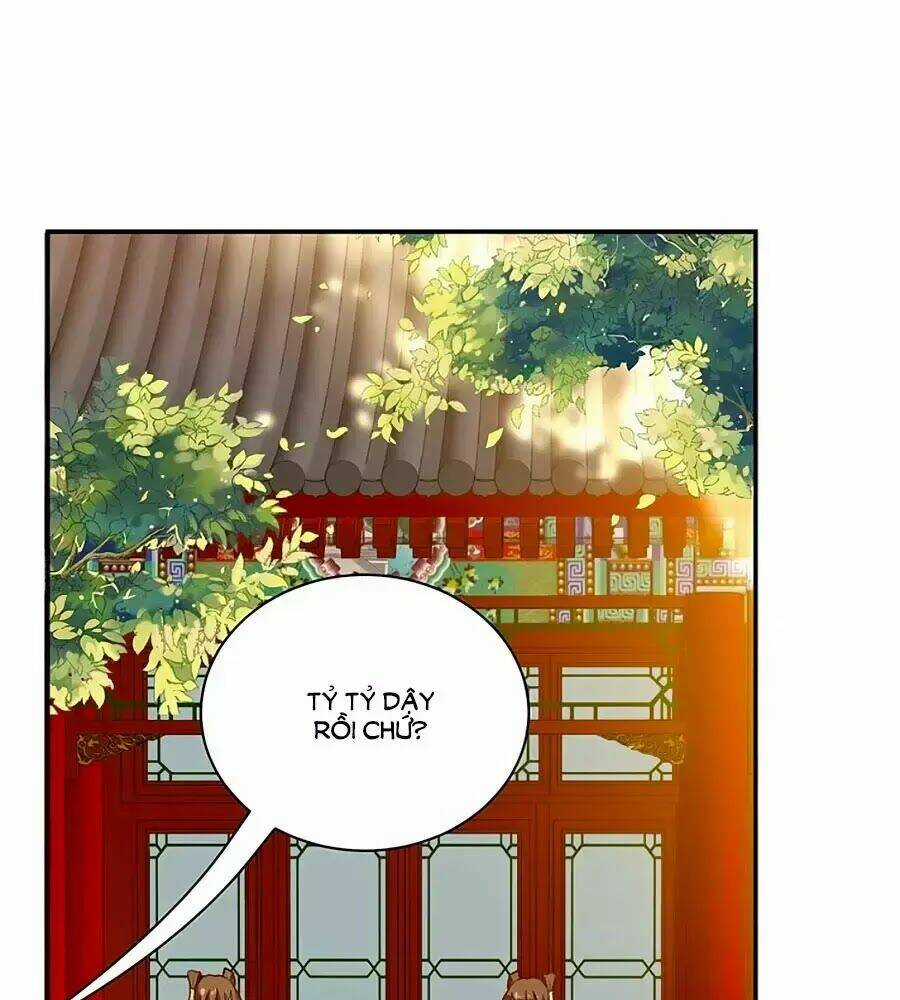 Thịnh Thế Lê Hoa Điện Chapter 68 trang 11