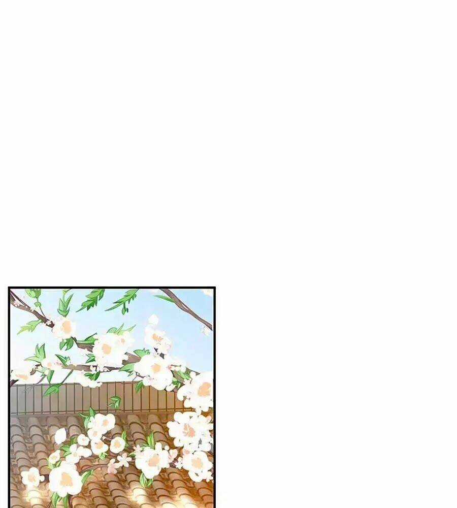 Thịnh Thế Lê Hoa Điện Chapter 69 trang 48