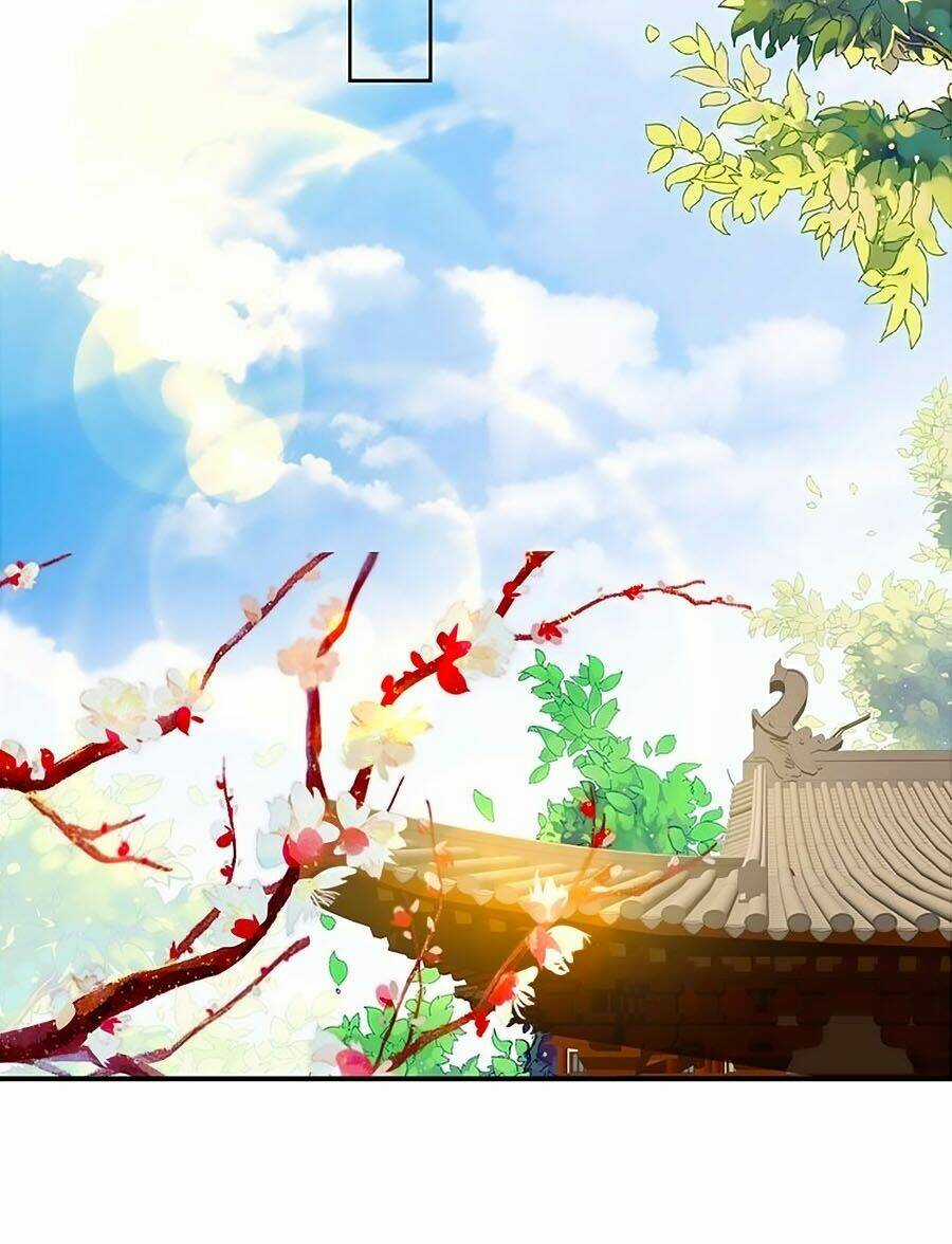 Thịnh Thế Lê Hoa Điện Chapter 73 trang 23