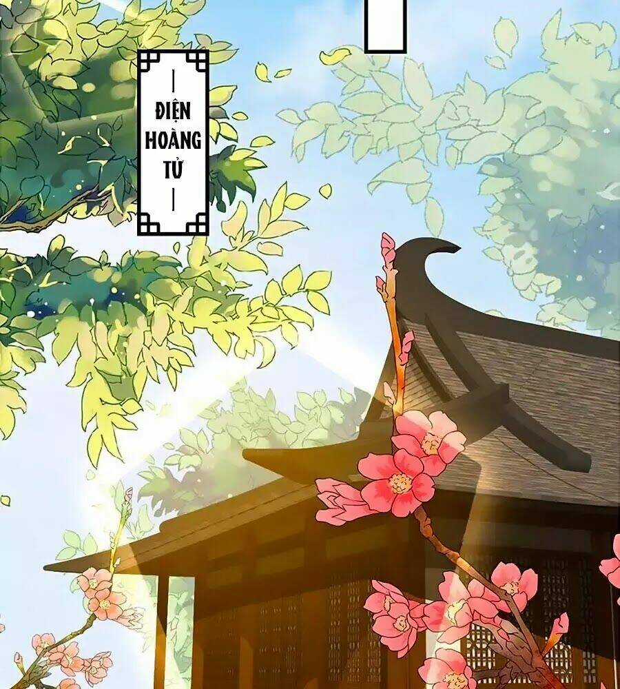 Thịnh Thế Lê Hoa Điện Chapter 74 trang 29