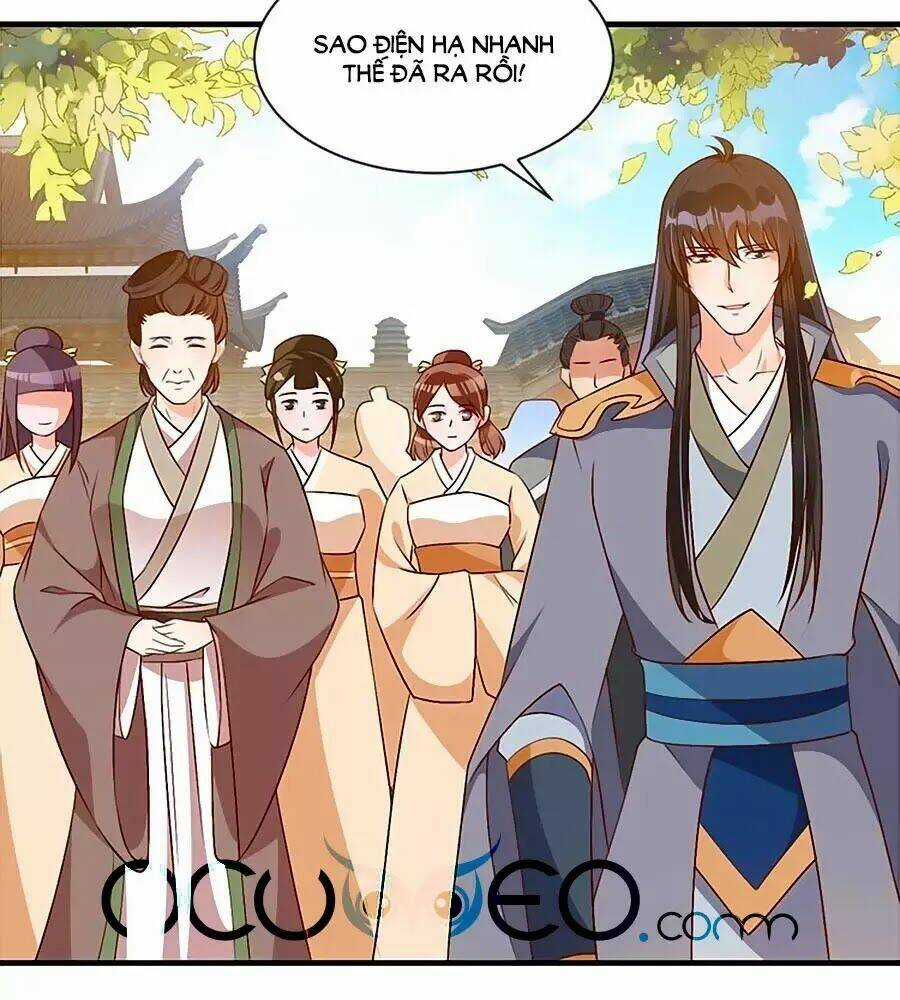 Thịnh Thế Lê Hoa Điện Chapter 74 trang 49