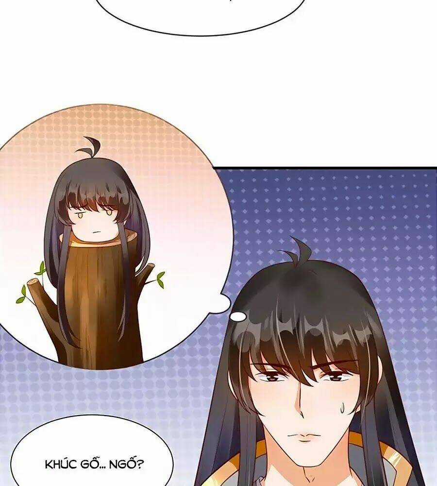 Thịnh Thế Lê Hoa Điện Chapter 75 trang 4