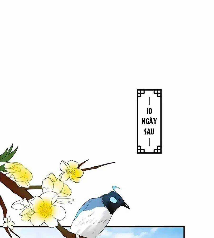 Thịnh Thế Lê Hoa Điện Chapter 76 trang 49