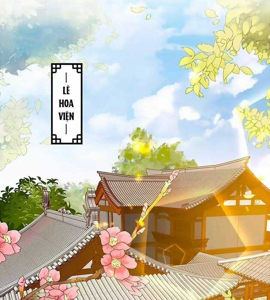 Thịnh Thế Lê Hoa Điện Chapter 76 trang 51