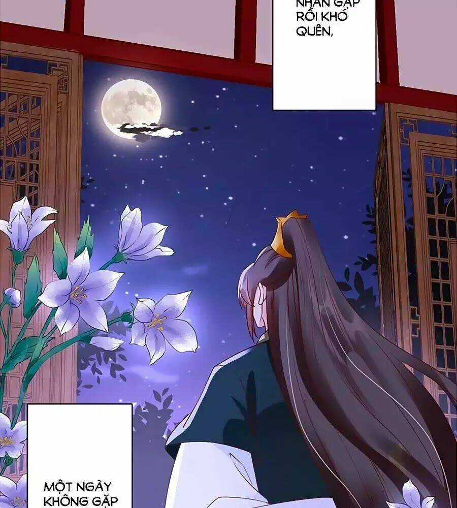 Thịnh Thế Lê Hoa Điện Chapter 77 trang 47