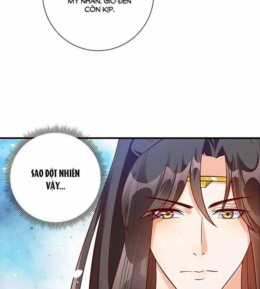 Thịnh Thế Lê Hoa Điện Chapter 78 trang 70