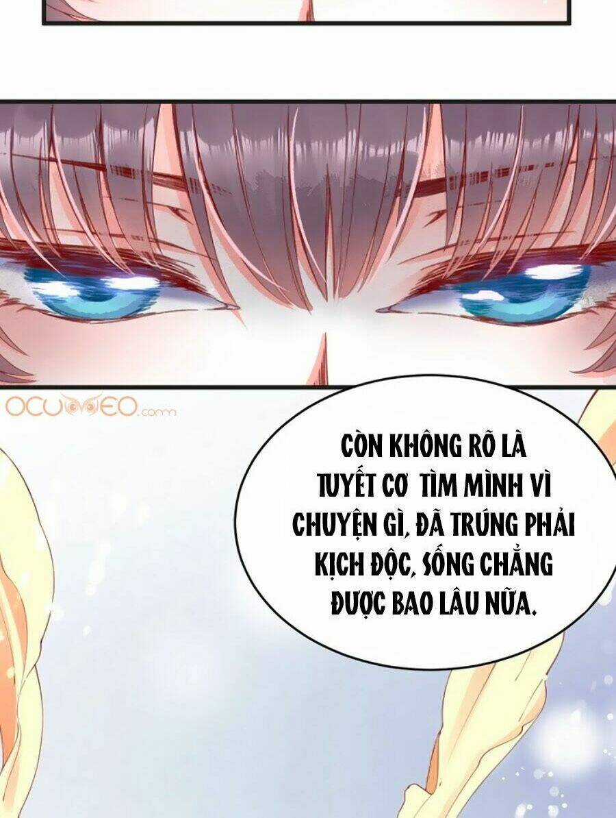 Thịnh Thế Lê Hoa Điện Chapter 8 trang 16