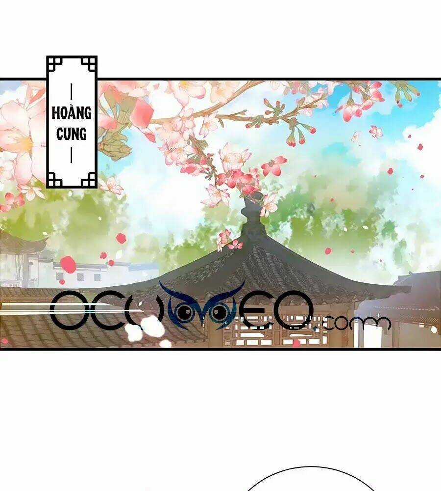 Thịnh Thế Lê Hoa Điện Chapter 85 trang 33