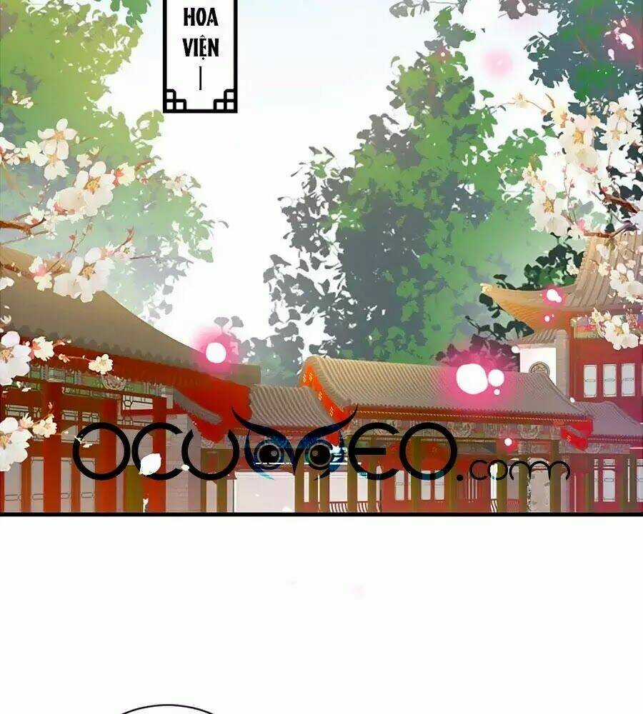 Thịnh Thế Lê Hoa Điện Chapter 87 trang 31