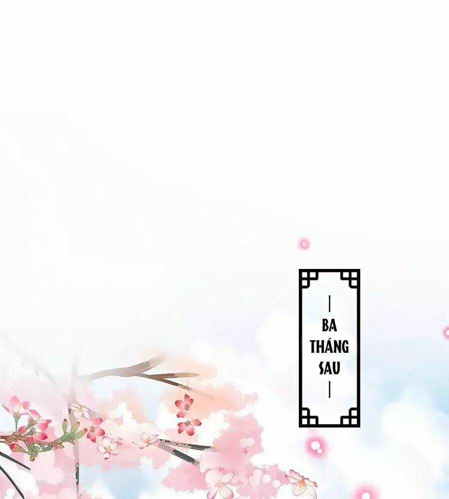 Thịnh Thế Lê Hoa Điện Chapter 91 trang 14