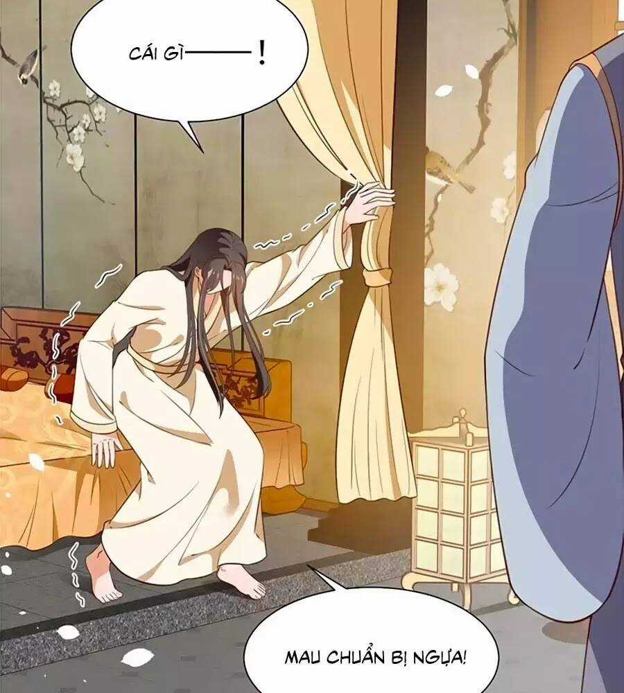 Thịnh Thế Lê Hoa Điện Chapter 94 trang 52