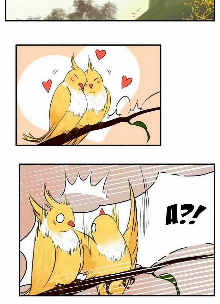 Thịnh Thế Thanh Ca Chapter 7 trang 1