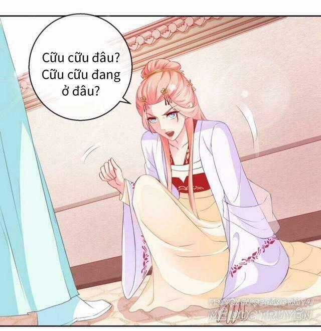 Thịnh Thế Vô Cấu Chapter 13 trang 0
