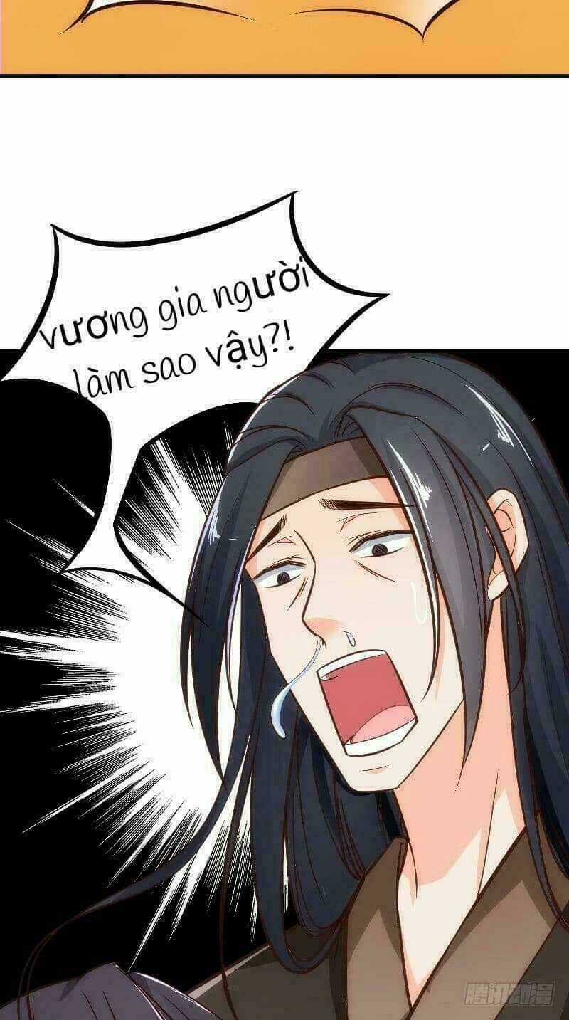 Thịnh Thế Y Nữ - Lãnh Vương Sủng Phi Chapter 10 trang 25