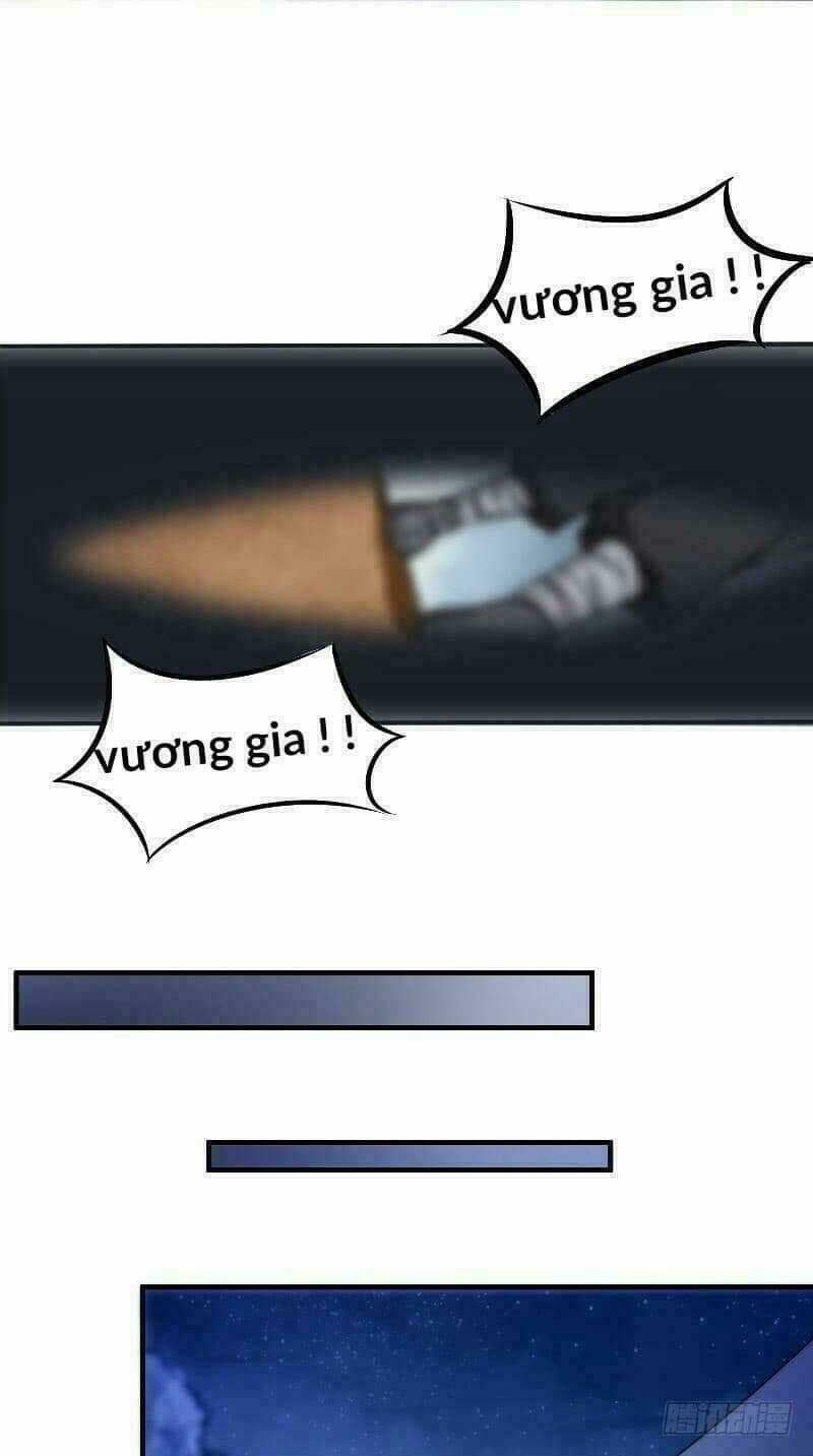 Thịnh Thế Y Nữ - Lãnh Vương Sủng Phi Chapter 11 trang 19