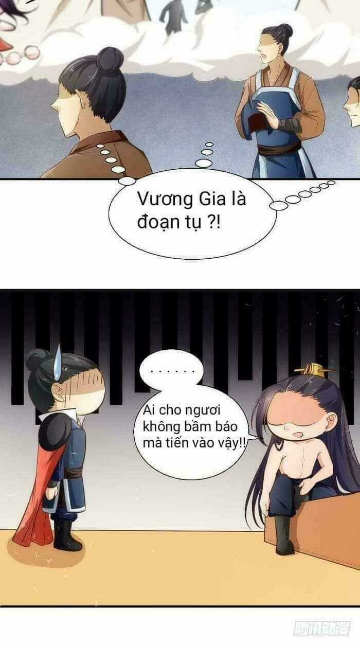 Thịnh Thế Y Nữ - Lãnh Vương Sủng Phi Chapter 14 trang 3