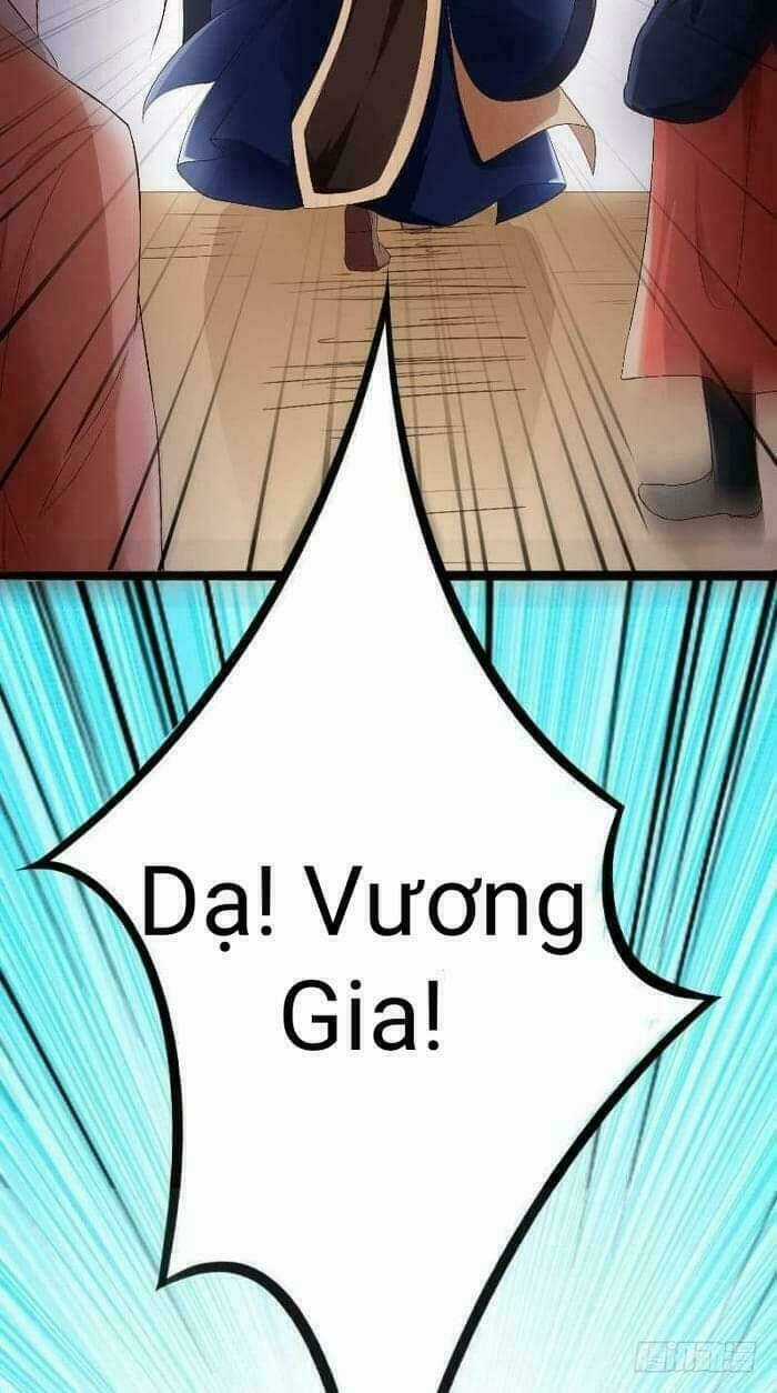Thịnh Thế Y Nữ - Lãnh Vương Sủng Phi Chapter 18 trang 19