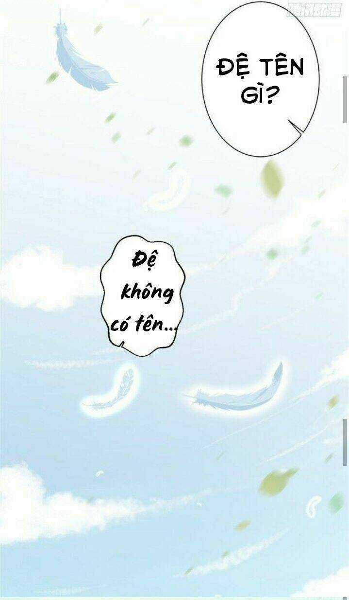 Thịnh Thế Y Nữ - Lãnh Vương Sủng Phi Chapter 49 trang 17