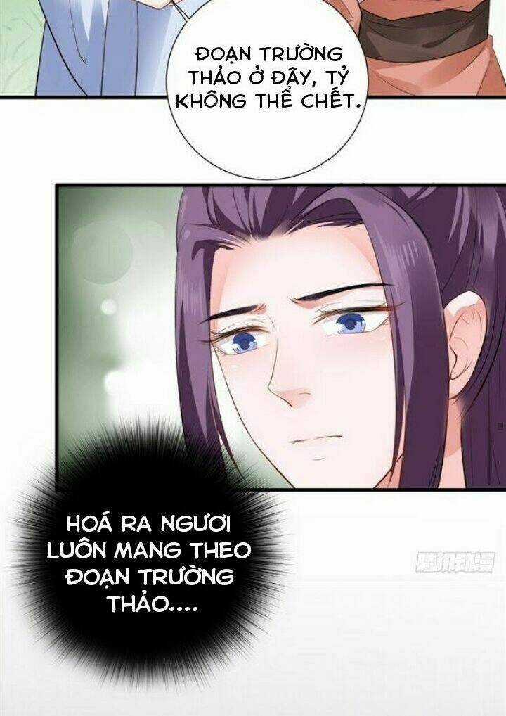 Thịnh Thế Y Nữ - Lãnh Vương Sủng Phi Chapter 52 trang 22