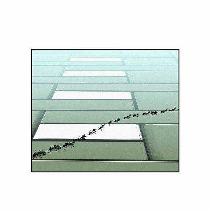 Thợ Săn 3 Cm Chapter 1 trang 8