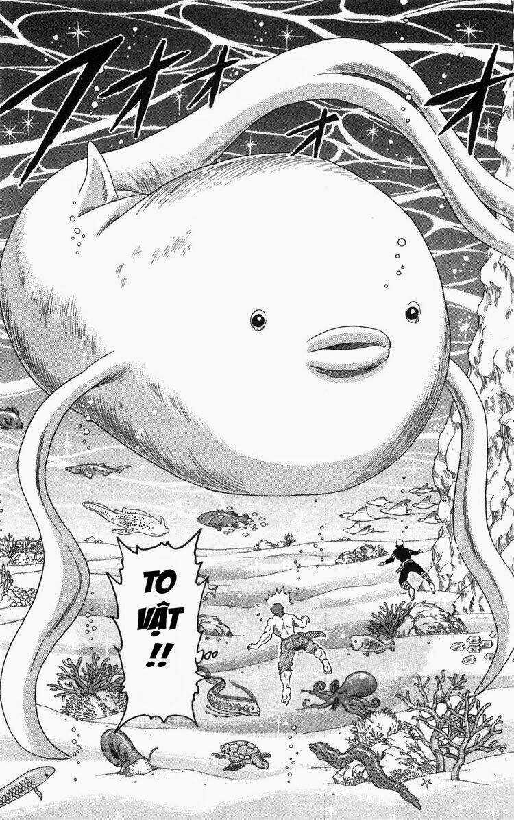 Thợ Săn Ẩm Thực Chapter 15 trang 13