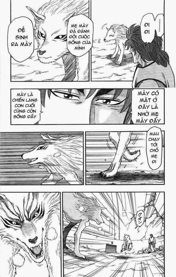 Thợ Săn Ẩm Thực Chapter 25 trang 16