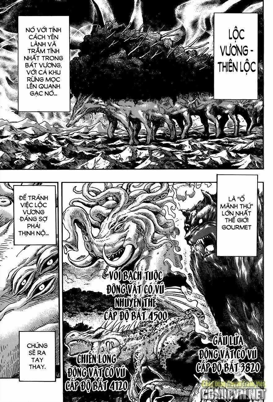 Thợ Săn Ẩm Thực Chapter 341 trang 13