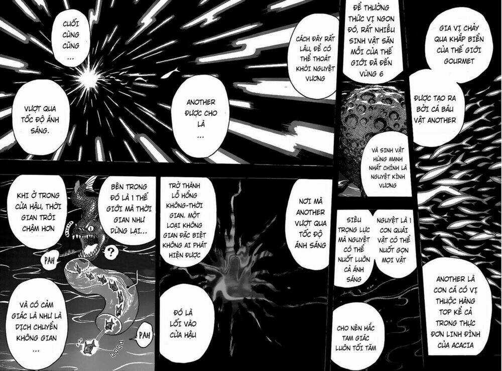 Thợ Săn Ẩm Thực Chapter 345 trang 10