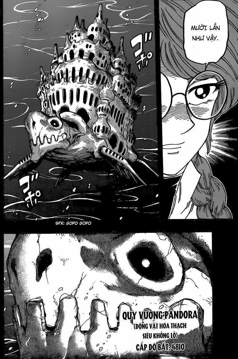 Thợ Săn Ẩm Thực Chapter 347 trang 13