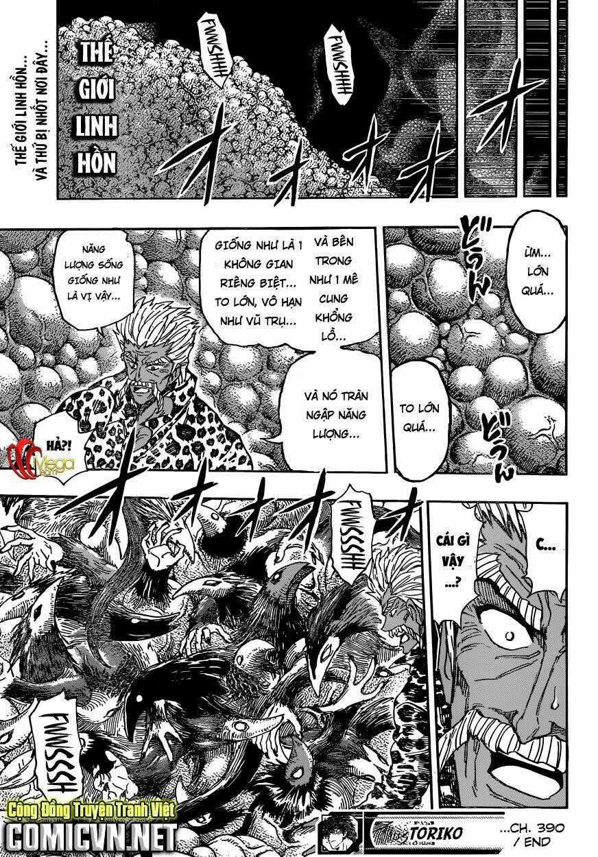 Thợ Săn Ẩm Thực Chapter 390 trang 18