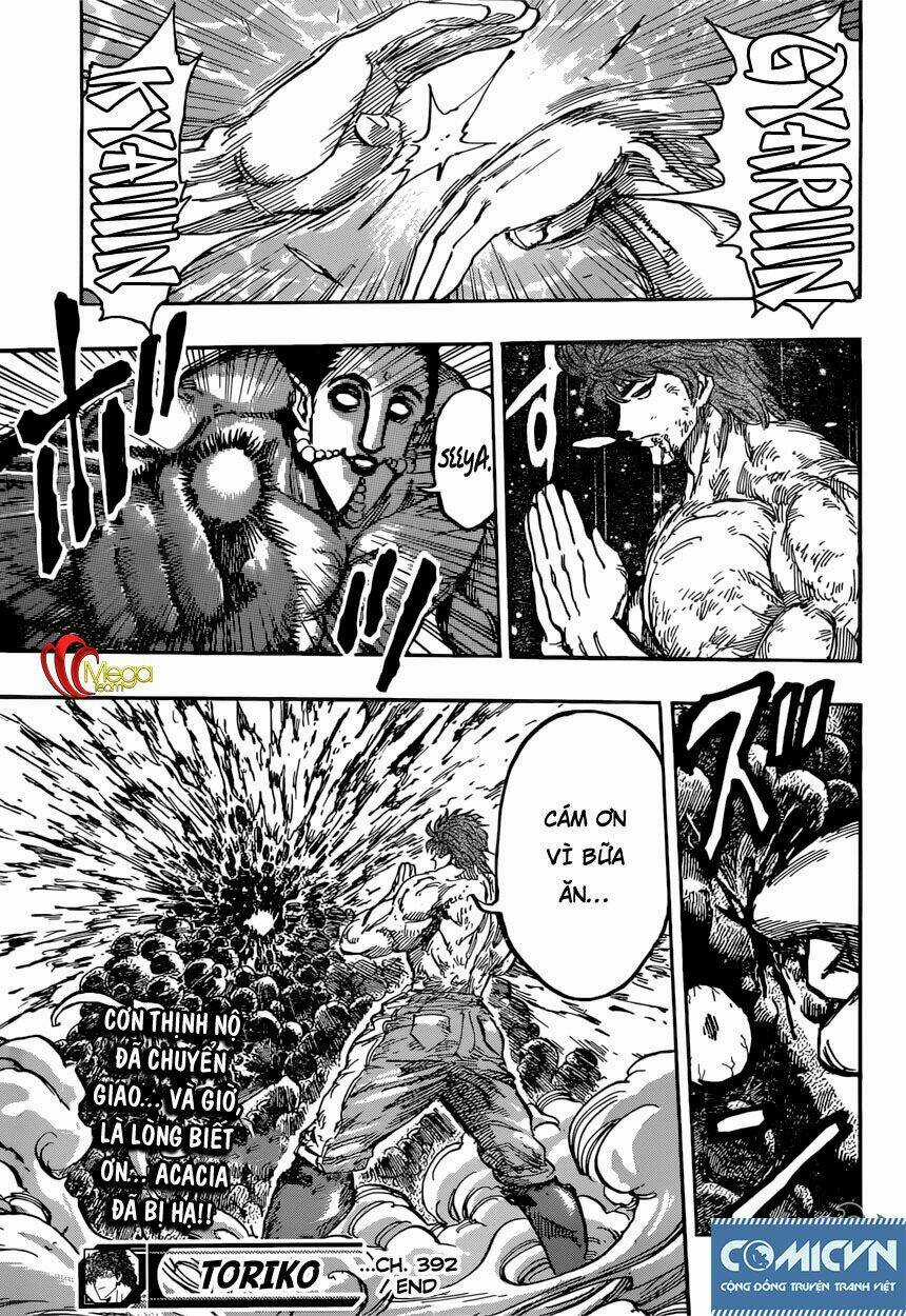 Thợ Săn Ẩm Thực Chapter 392 trang 18