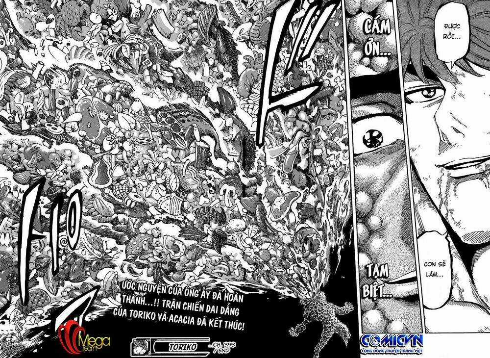 Thợ Săn Ẩm Thực Chapter 393 trang 17