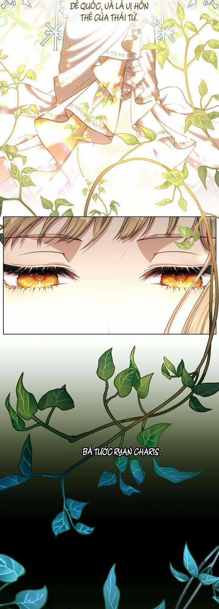 Thợ Săn Hạng S Không Muốn Trở Thành Ác Nữ Chapter 2 trang 3