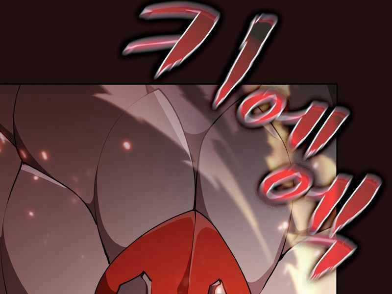 Thợ Săn Kỳ Ảo Chapter 29 trang 209
