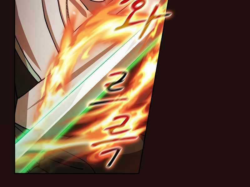 Thợ Săn Kỳ Ảo Chapter 29 trang 213