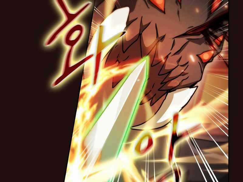 Thợ Săn Kỳ Ảo Chapter 29 trang 215