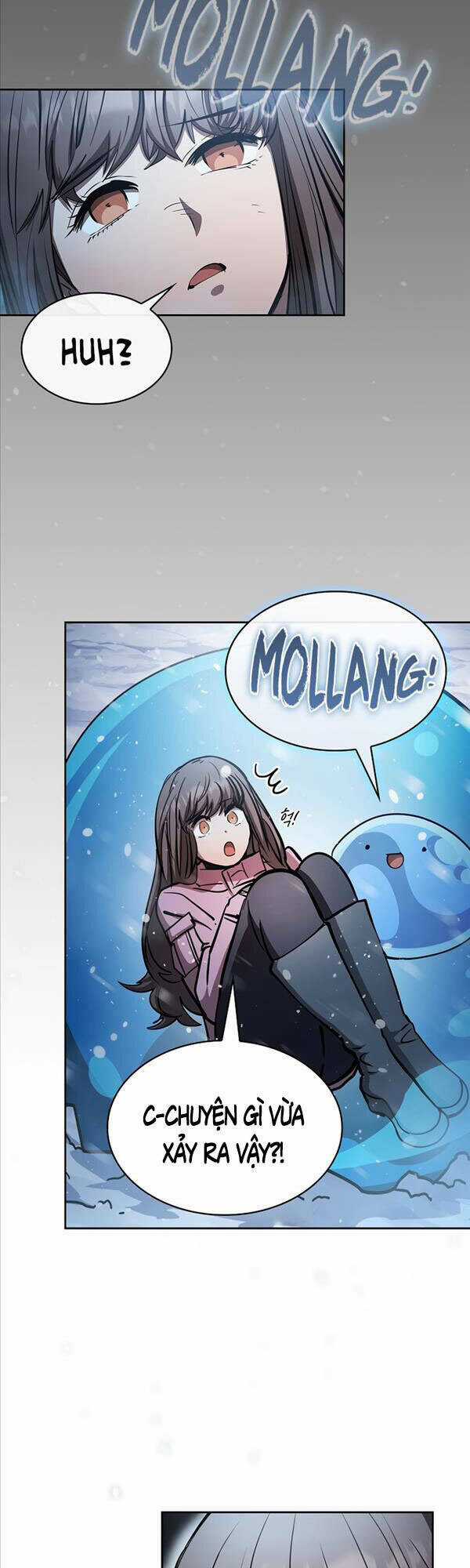 Thợ Săn Kỳ Ảo Chapter 47 trang 19