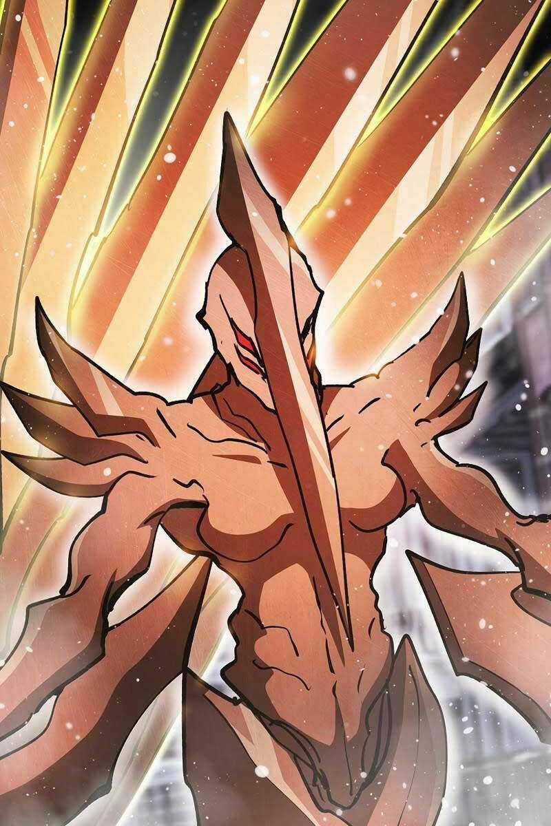 Thợ Săn Kỳ Ảo Chapter 58 trang 19