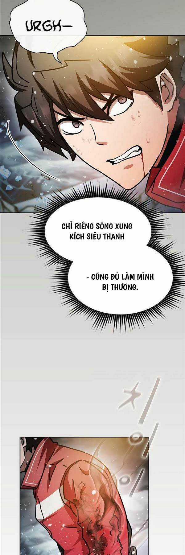 Thợ Săn Kỳ Ảo Chapter 66 trang 17