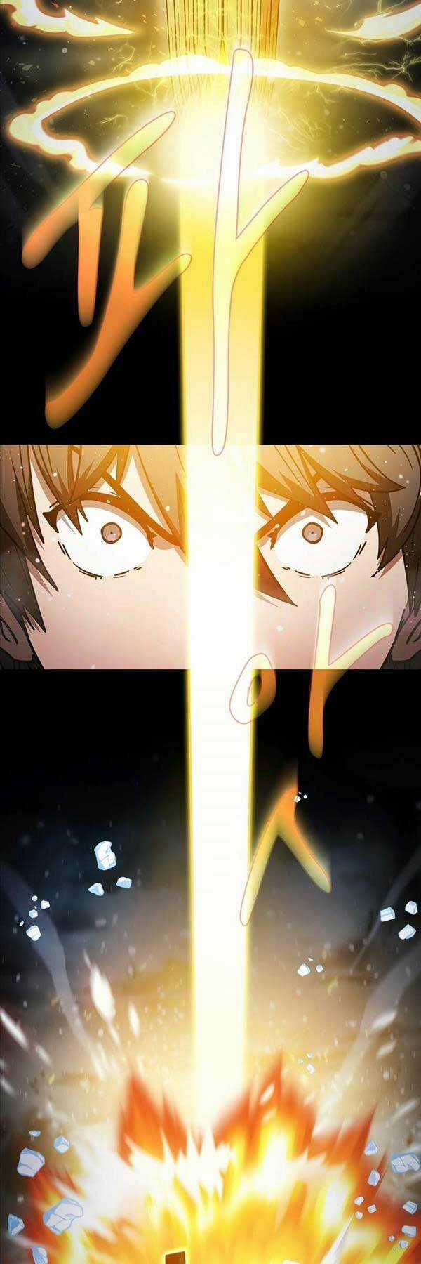 Thợ Săn Kỳ Ảo Chapter 66 trang 3