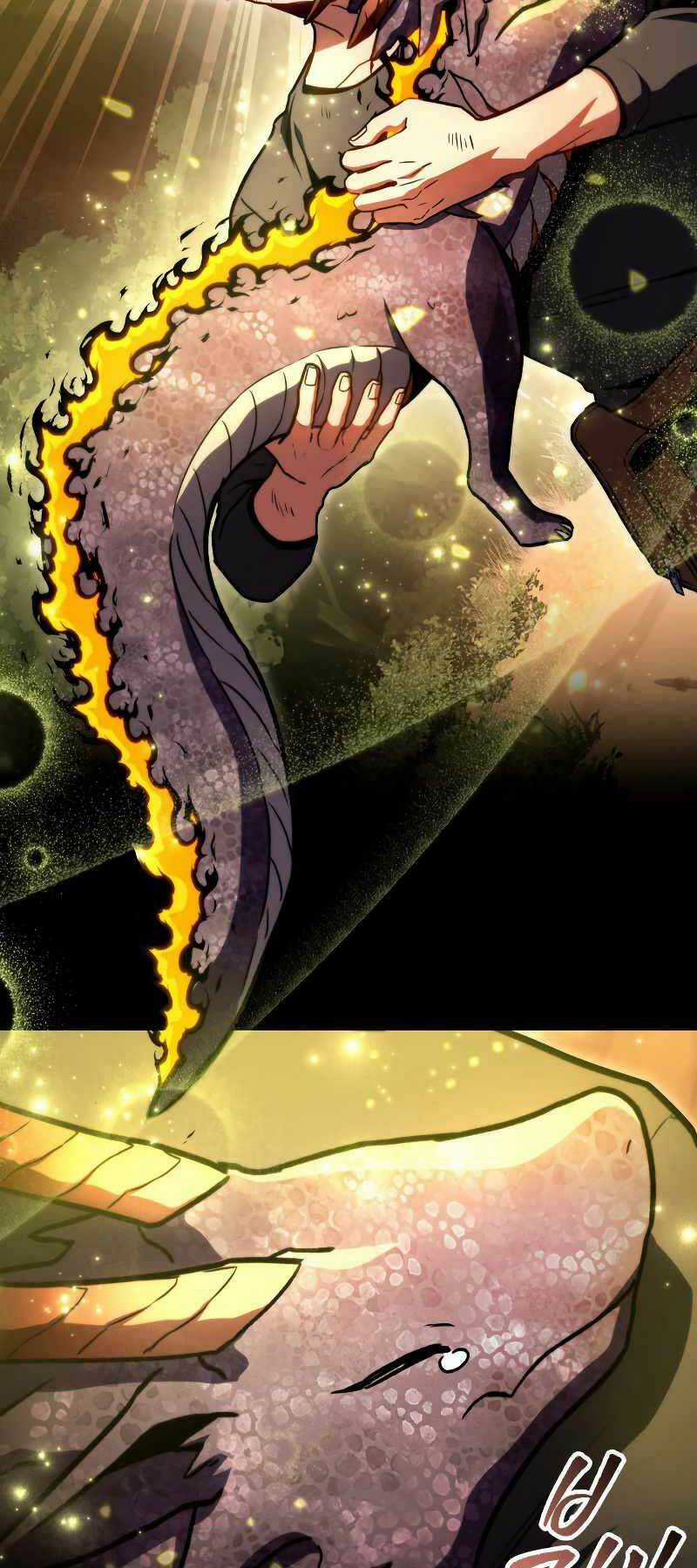 Thợ Săn Số Mệnh Cấp F Chapter 37 trang 65